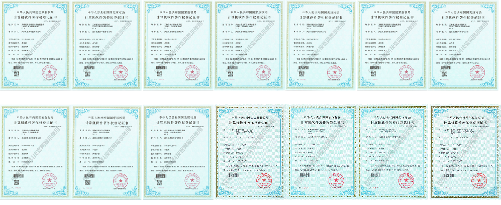 武漢紅星楊科技有限公司.png